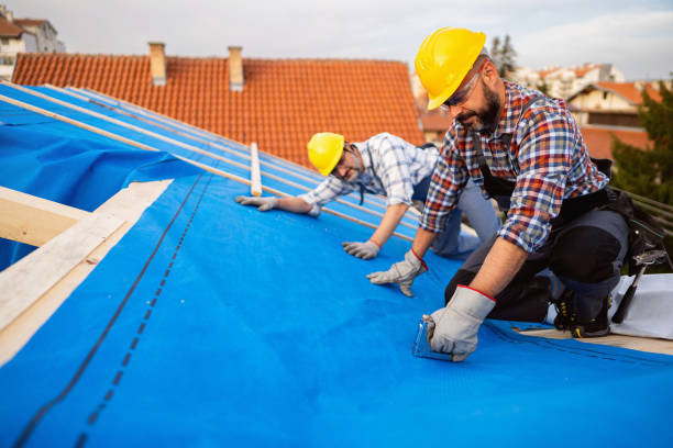 Best Rubber Roofing (EPDM, TPO)  in Dutch Island, GA